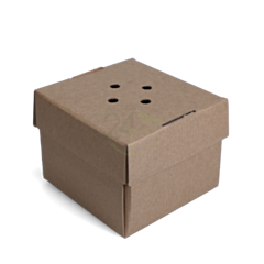 100 x Premium Burger Box Recyclable