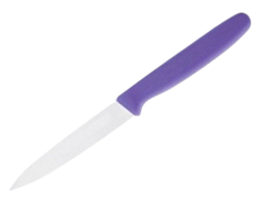 1 x Purple Paring Knife 3.5"
