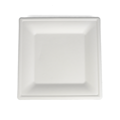 125 x 26cm (10.5") Square Bagasse Plates Compostable