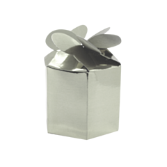 24 x Silver Partyware Gift Box